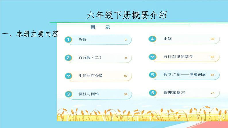 人教版小学六年级数学下册总复习课件第3页