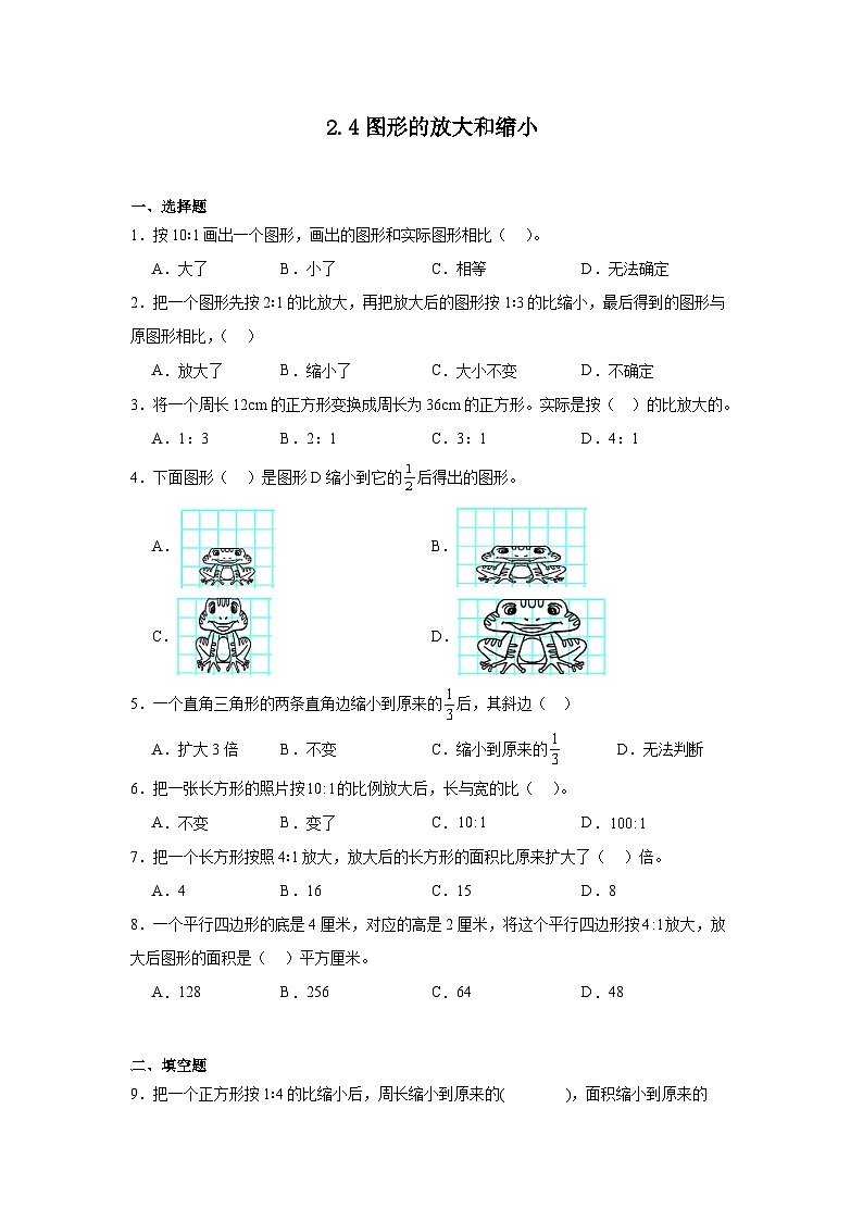 2.4图形的放大和缩小课堂通行证 北师大版数学六年级下册练习试题01