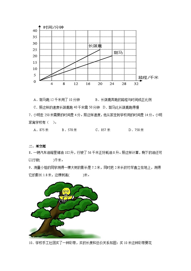 4.3画一画课堂通行证 北师大版数学六年级下册练习试题02