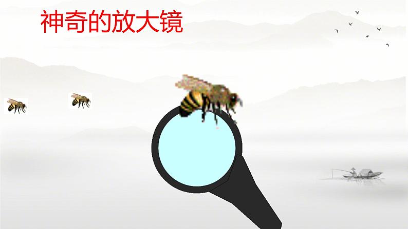 图形的放大与缩小 课件第4页