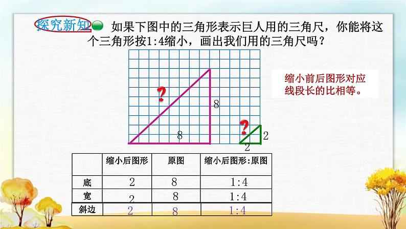 北师大版六年级数学下册第2单元第4课时图形的放大与缩小课件第7页