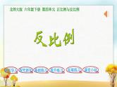 北师大版六年级数学下册第4单元第4课时反比例课件
