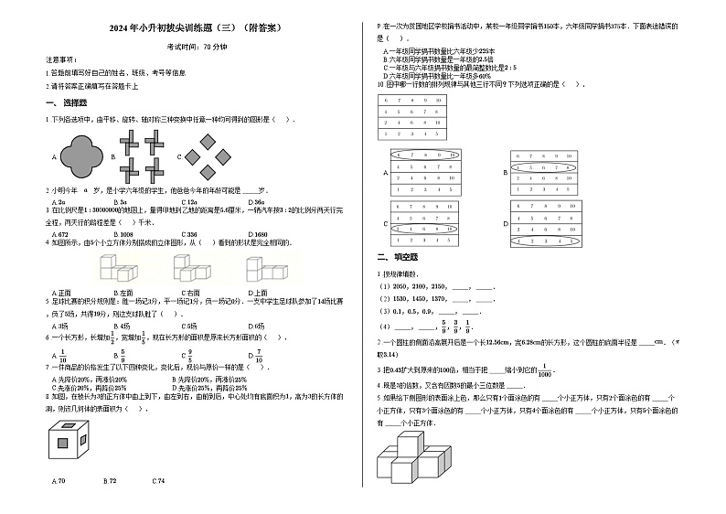 2024年小升初拔尖训练题（三）（附答案）第1页