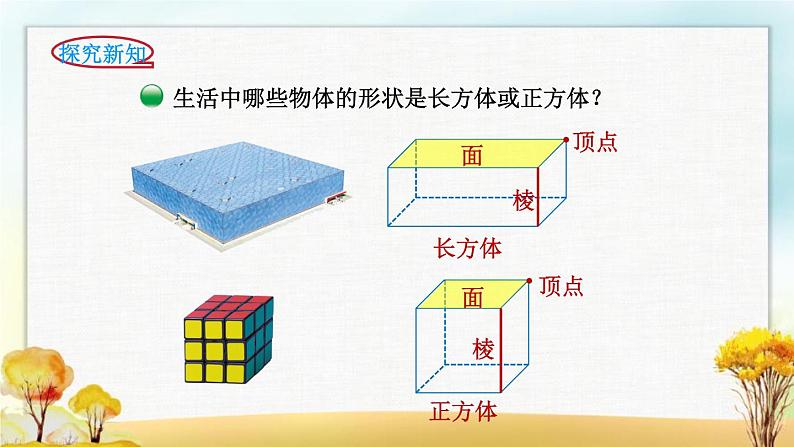 北师大版五年级数学下册第2单元第1课时长方体的认识课件第3页