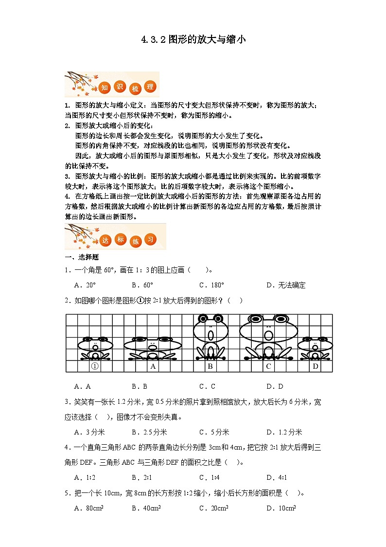 4.3.2图形的放大与缩小达标同步练  人教版数学六年级下册第1页
