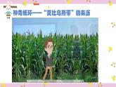 神奇的莫比乌斯带 PPT