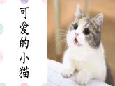 可爱的小猫 课件 小学数学北师大版六年级下册