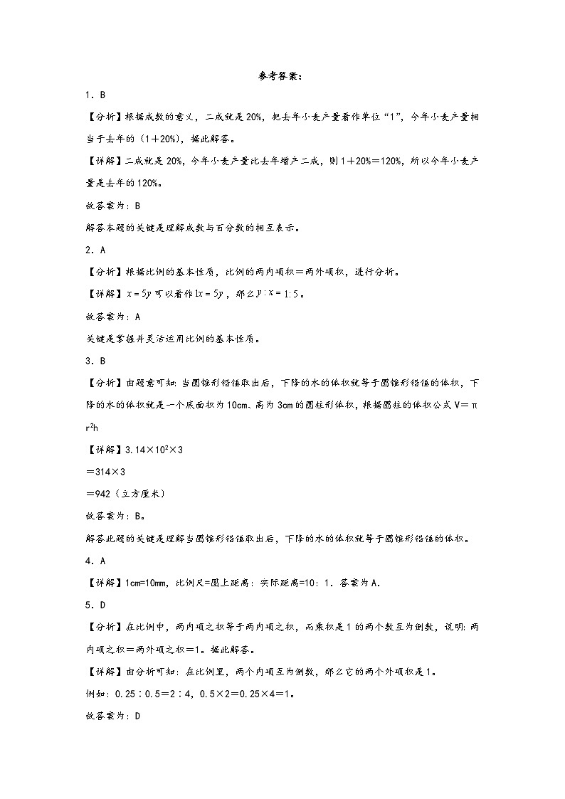 (期中高频考点)2023-2024学年六年级下学期期中综合调研数学试卷（人教版）第3页