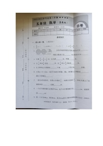 河北省邢台市隆尧县魏庄镇魏庄小学2023-2024学年五年级下学期期中测试数学试题