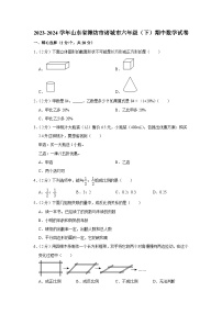 山东省潍坊市诸城市2023-2024学年六年级下学期期中数学试卷