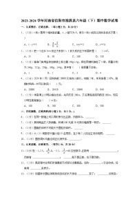 2023-2024学年河南省信阳市淮滨县六年级（下）期中数学试卷