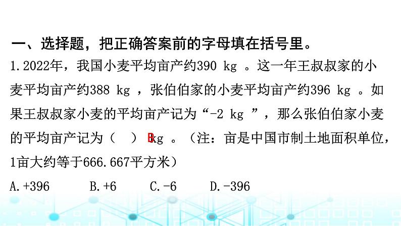 北京市朝阳区小学六年级毕业考试指导卷课件第1页