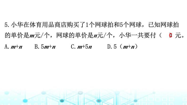 北京市朝阳区小学六年级毕业考试指导卷课件05