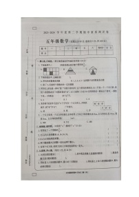 河南省周口市项城市2023-2024学年五年级下学期期中数学试题