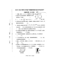 福建省莆田市城厢区莆田市第二实验小学2023-2024学年六年级下学期期中数学试题