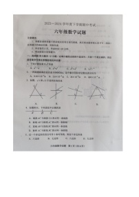 山东省泰安市肥城市2023-2024学年下学期六年级数学期中试题