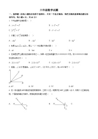 山东省淄博市周村区2023-2024学年六年级下学期期中数学试题（原卷版+解析版）