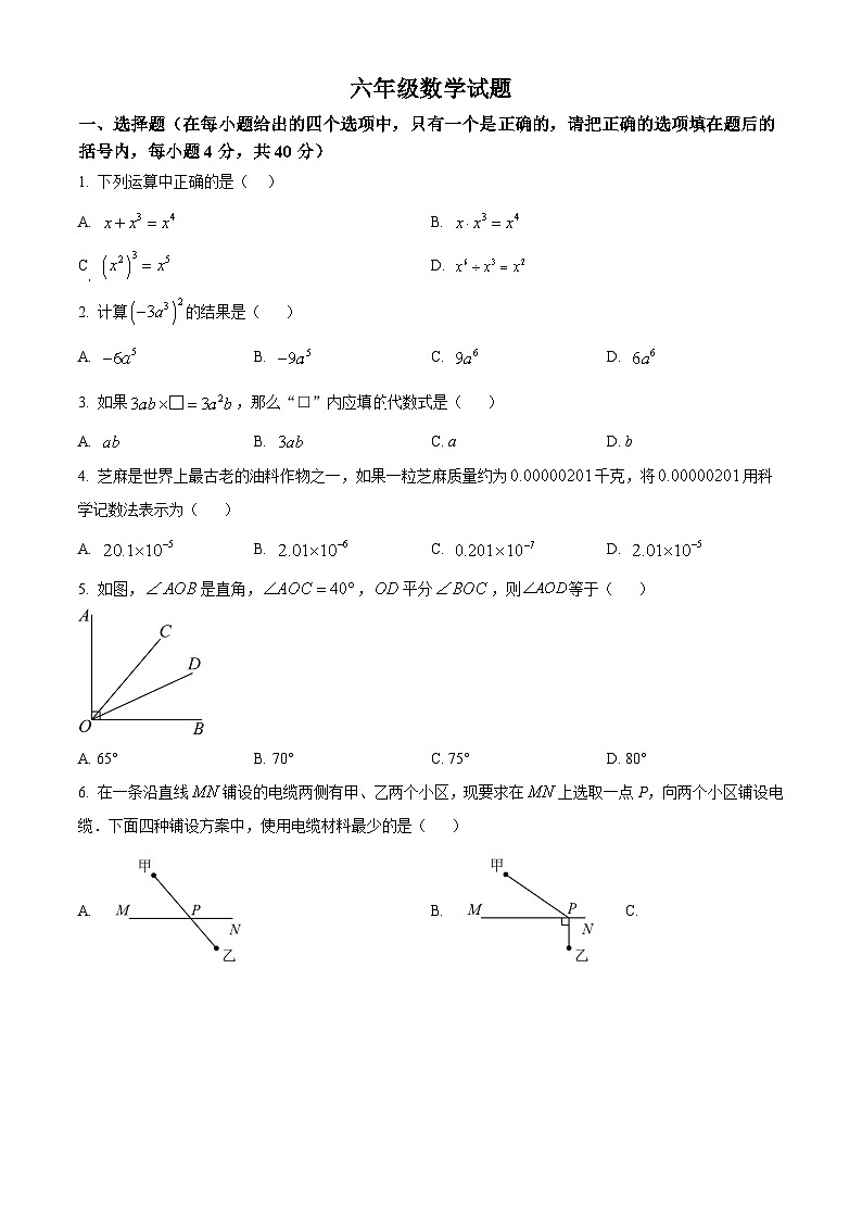 山东省淄博市周村区2023-2024学年六年级下学期期中数学试题（原卷版）第1页