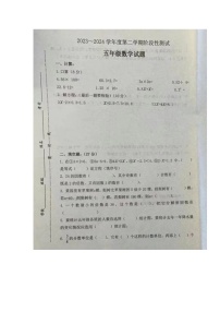 广东省湛江市遂溪县草潭第二小学2023-2024学年五年级下学期期中数学试卷