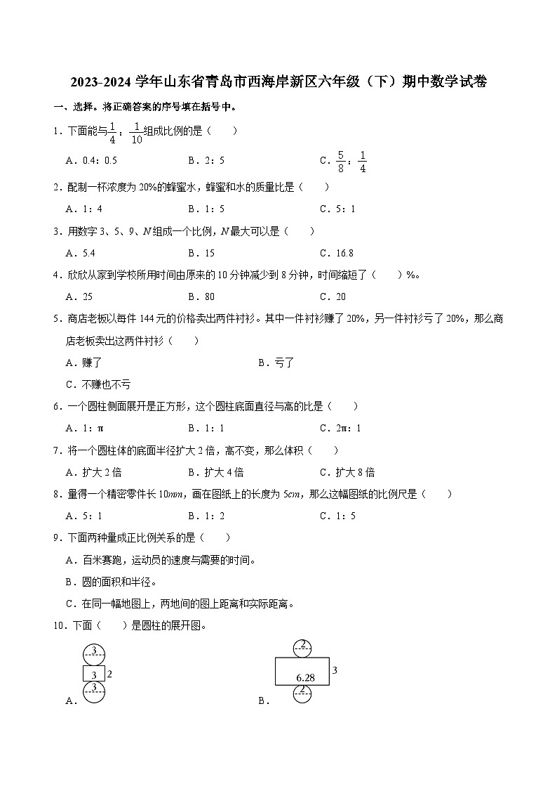 2023-2024学年山东省青岛市西海岸新区六年级（下）期中数学试卷01