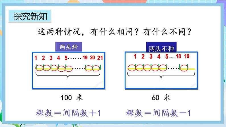 人教版数学五年级上册7.2《两端都不栽的植树问题》课件+教案+练习07