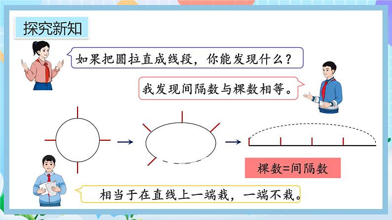 人教版数学五年级上册7.3《封闭曲线上植树的问题》课件+教案+练习08