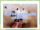 人教版小学数学五年级上册1.4《积的近似值》课件