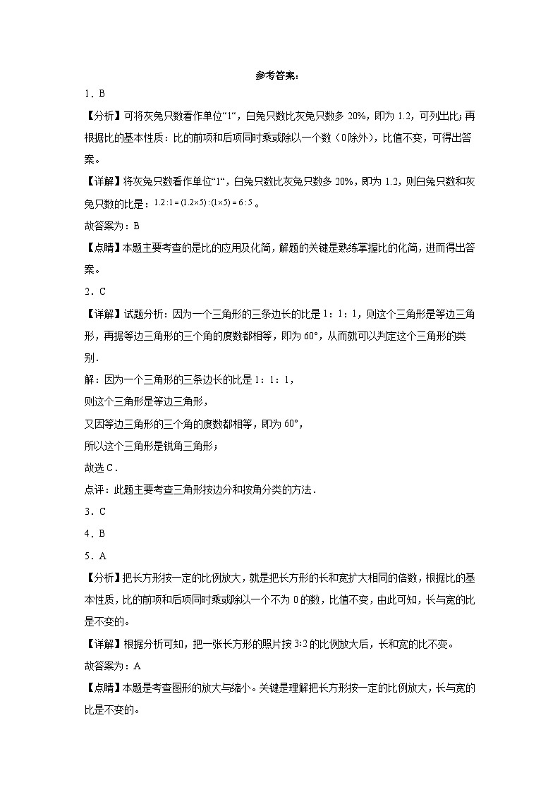 小升初模拟测试(试题)-2023-2024学年六年级下册数学北师大版(03)第3页