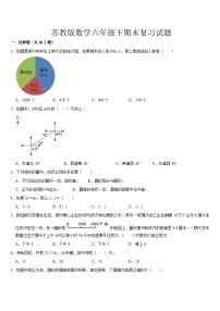 +期末复习试题2（试题）-2023-2024学年六年级下册数学苏教版