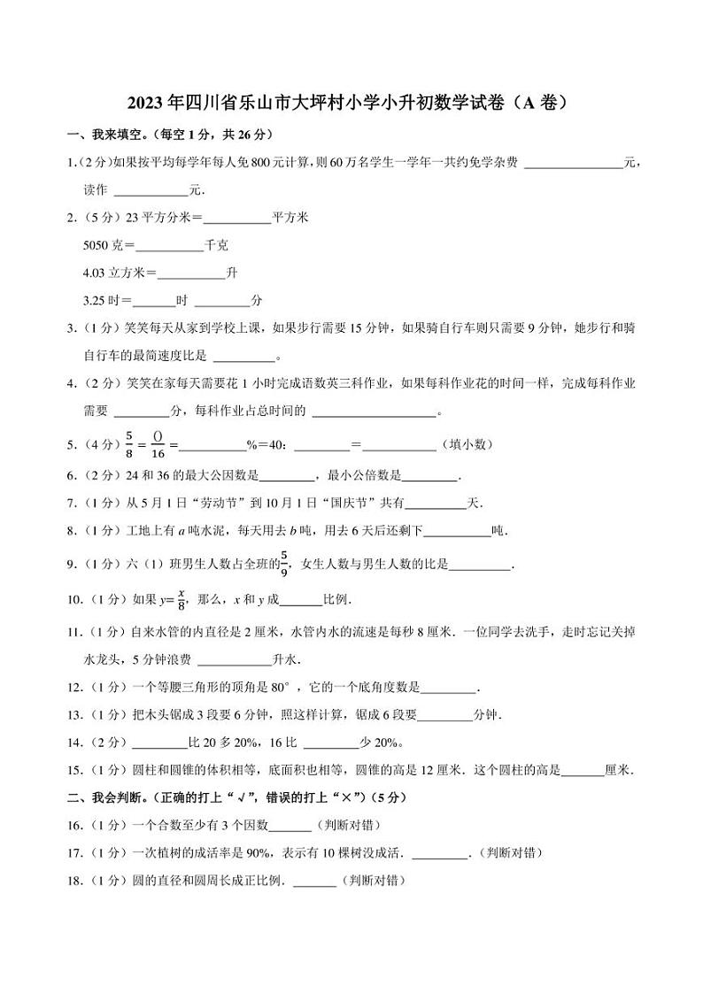 2023年四川省乐山市大坪村小学小升初数学试卷（A卷）附答案解析01