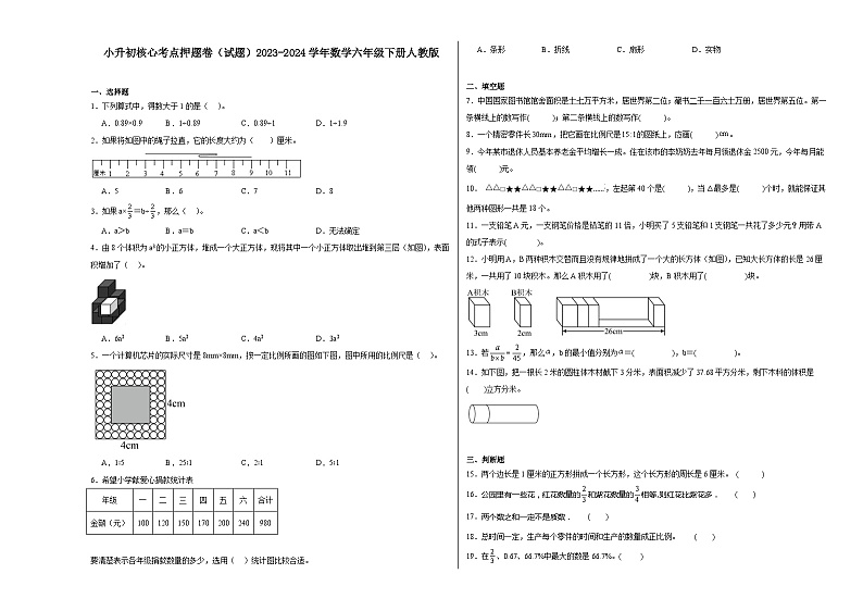小升初核心考点押题卷（试题）2023-2024学年数学六年级下册人教版01