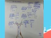 总复习（数与代数（一））（课件）-三年级下册数学人教版