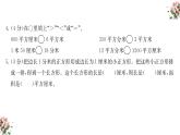 期末复习： 面积（课件）-三年级下册数学人教版