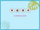 【专项复习课件】小学数学五年级下册-专题课件-长方体与正方体（人教版）