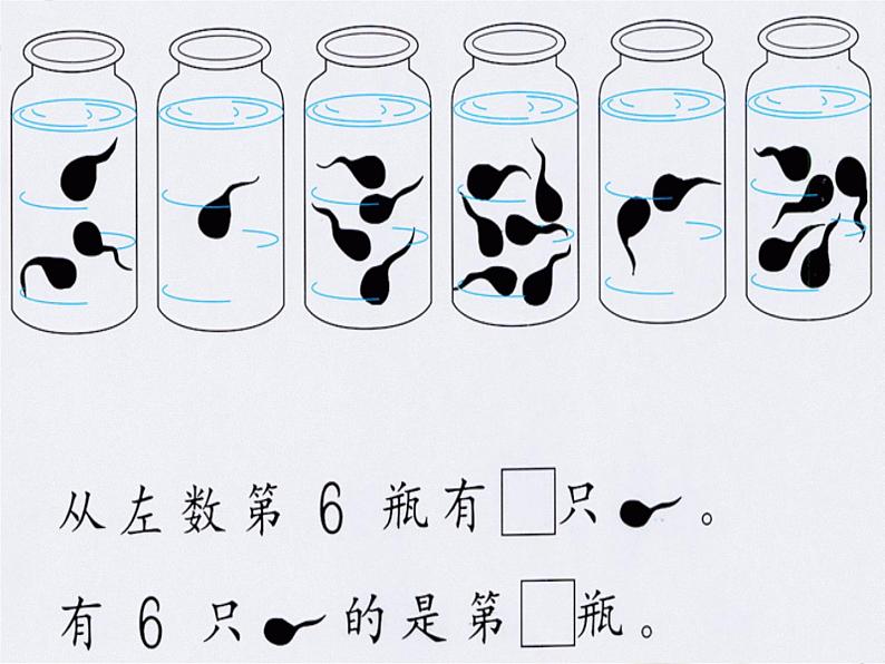 期末复习复习（课件）-一年级上册数学人教版第4页