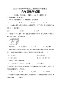 期末毕业模拟（试题）-2023-2024学年六年级下册数学青岛版