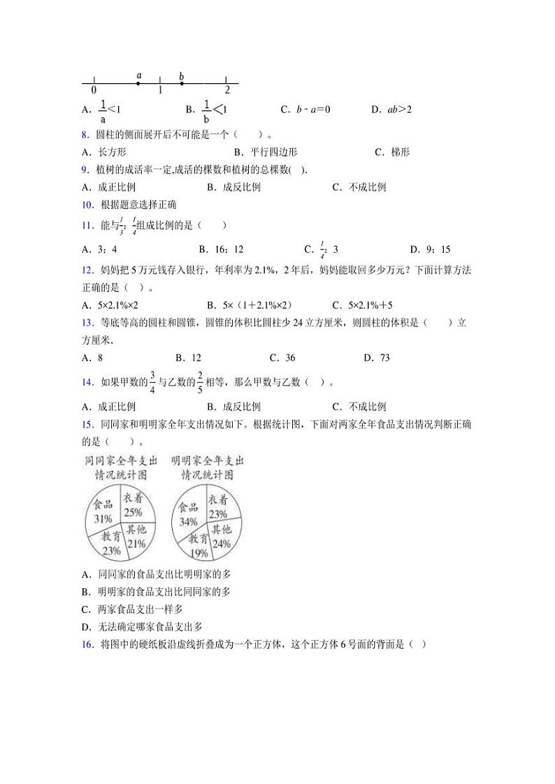 2024年度六年级（下册）数学期末试卷及详细答案解析59第2页