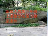 总复习（课件）人教版三年级上册数学