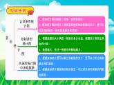 条形统计图、数学广角：优化（复习课件）-四年级数学上册期末核心考点集训（人教版）