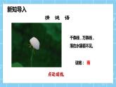 北师大版小学数学四年级上册第二单元第1课时《线的认识》课件+教案