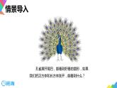 【同步备课】第一单元 第二课时 长方体和正方体的展开图  课件 六年级数学上册（苏教版）