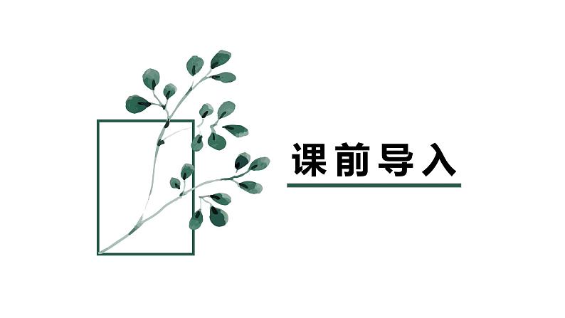 【同步备课】第六单元 第二课时 百分数与小数、分数的互化  课件 第一课时六年级数学上册（苏教版）03