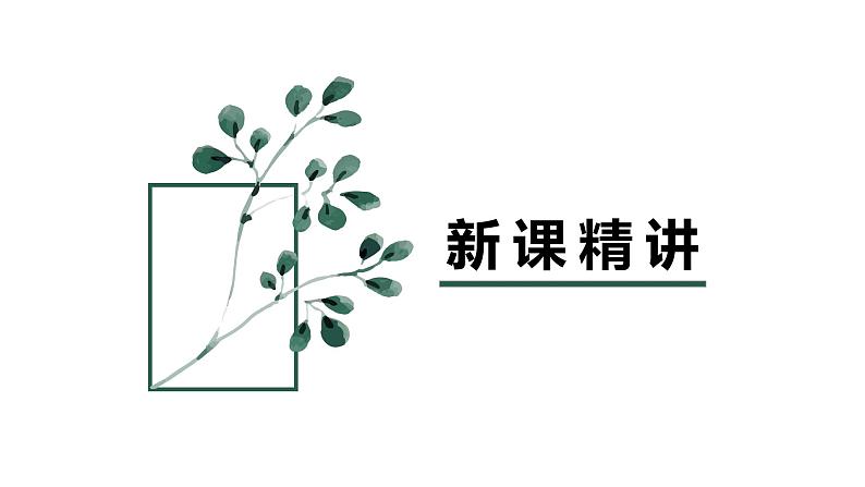 【同步备课】第六单元 第二课时 百分数与小数、分数的互化  课件 第一课时六年级数学上册（苏教版）05