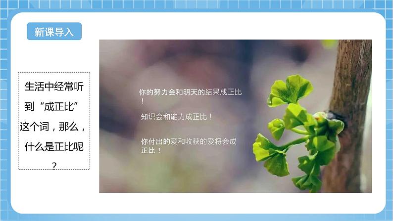 苏教版数学六年级下册6.1《正比例的意义》课件+教案+分层作业+学习任务单04