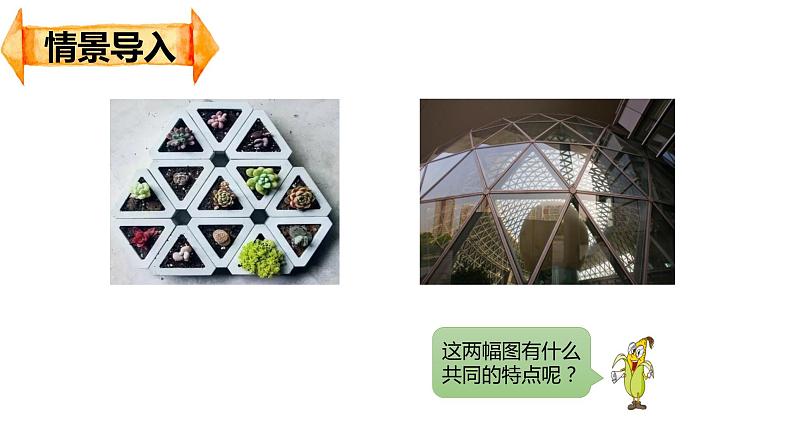 【同步备课】第二单元 第二课时 三角形的面积（课件） 五年级数学上册（苏教版）04