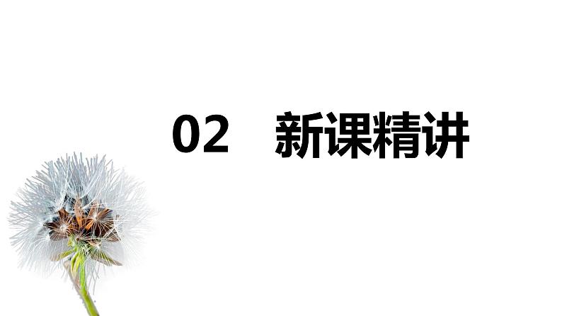 【同步备课】第三单元 第一课第时课时 小数的基本性质（课件） 五年级数学上册（苏教版）05