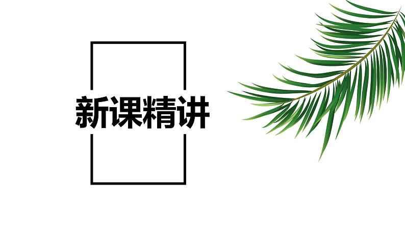 【同步备课】第五单元 第九课时 小数除法的近似数 第二课时（课件） 五年级数学上册（苏教版）05