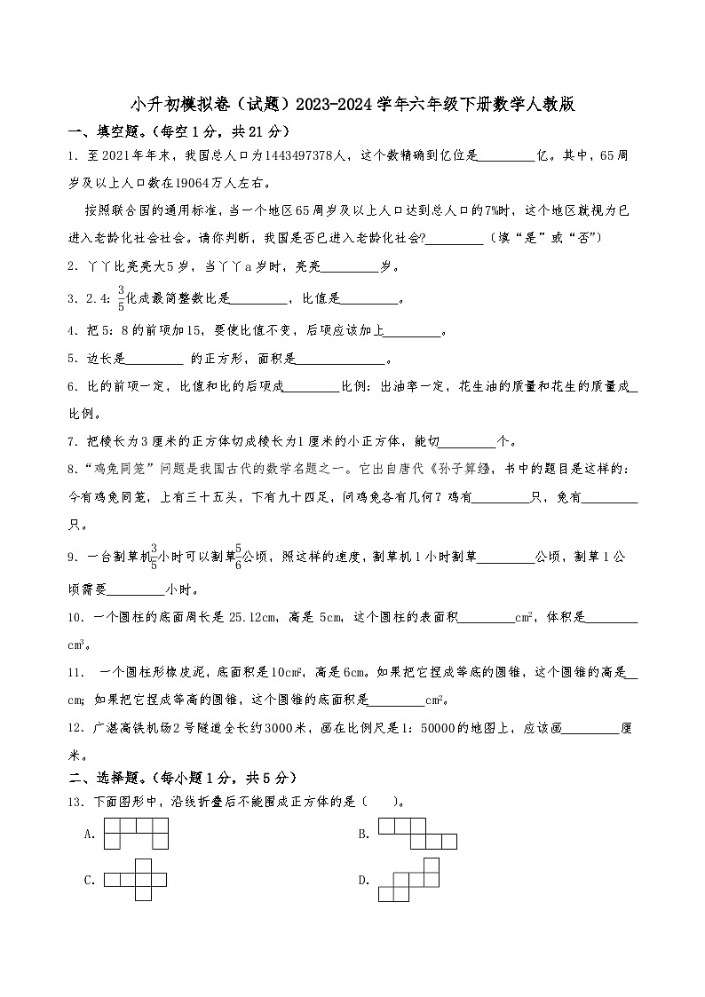小升初模拟卷（试题）2023-2024学年六年级下册数学人教版第1页