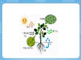 蘇教版數(shù)學(xué)四年級(jí)下冊(cè)3.4《乘數(shù)末尾有0的乘法》課件+教案+分層作業(yè)+學(xué)習(xí)任務(wù)單