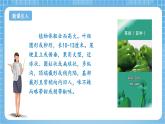 蘇教版數(shù)學(xué)三年級(jí)下冊(cè)1.1《口算兩位數(shù)乘整十?dāng)?shù)》課件+教案+分層練習(xí)+任務(wù)清單